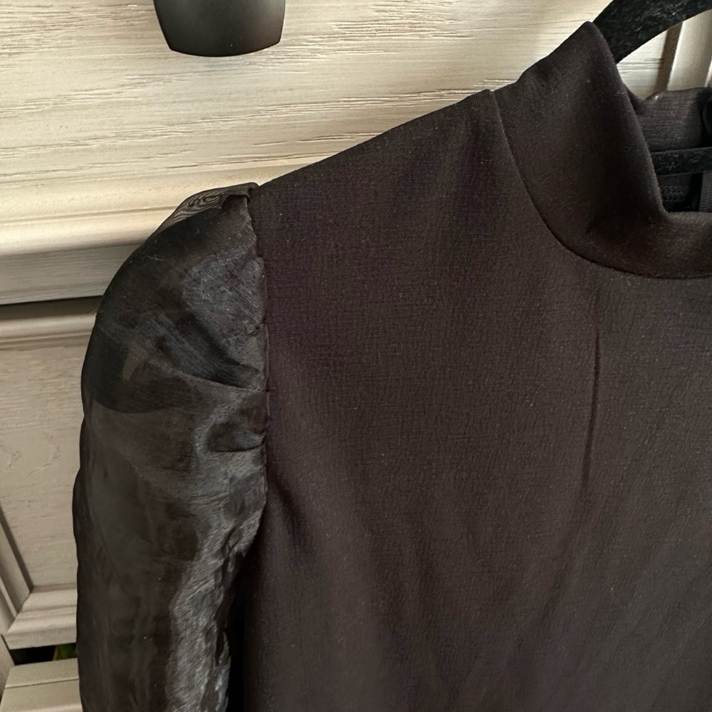 Elegant Black Sheer Sleeve Top - Picture 3 of 8